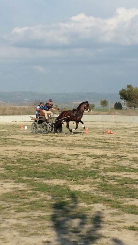 Inicio de la temporada de enganches